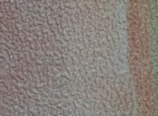 Розовая роза А1-013 (3,0х2,7 м)