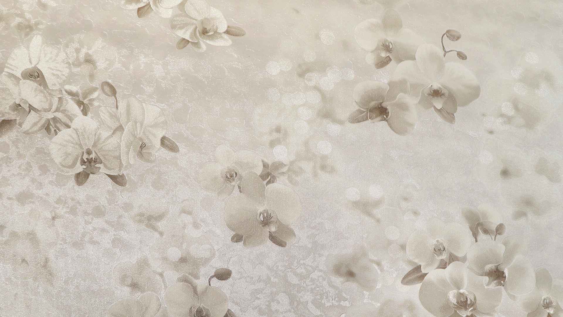 ���� �106701