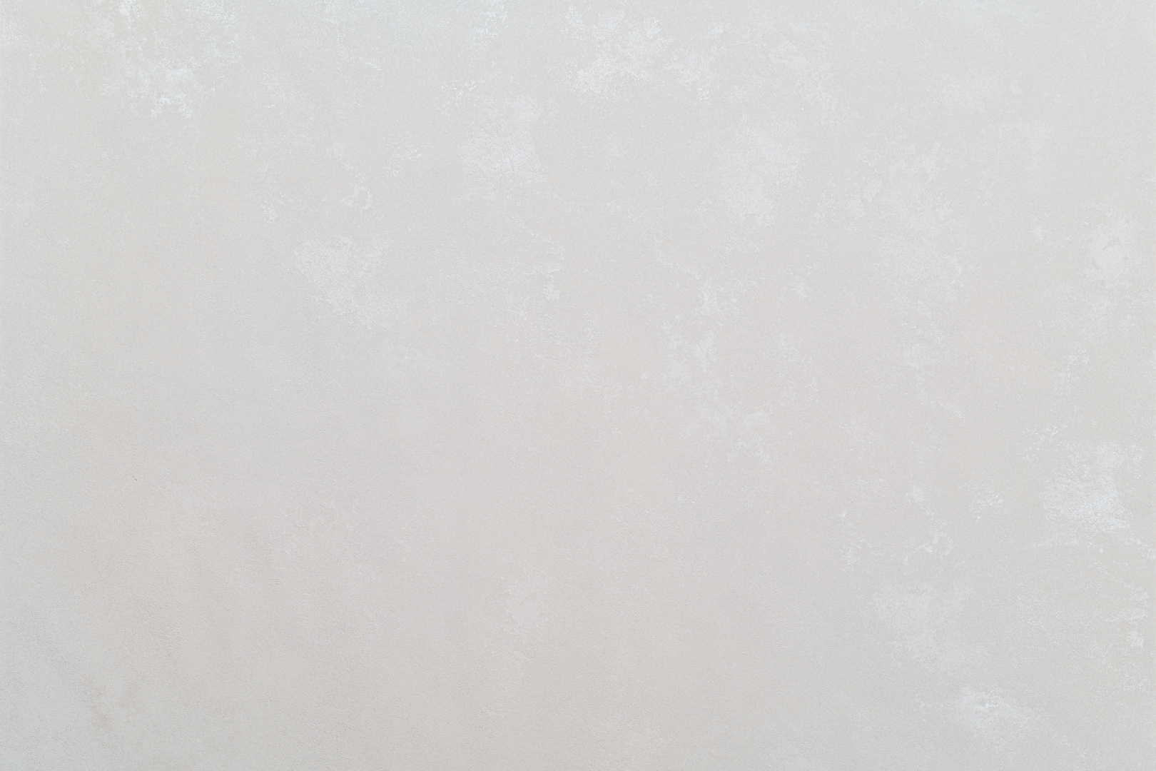 Forest AR11199-01