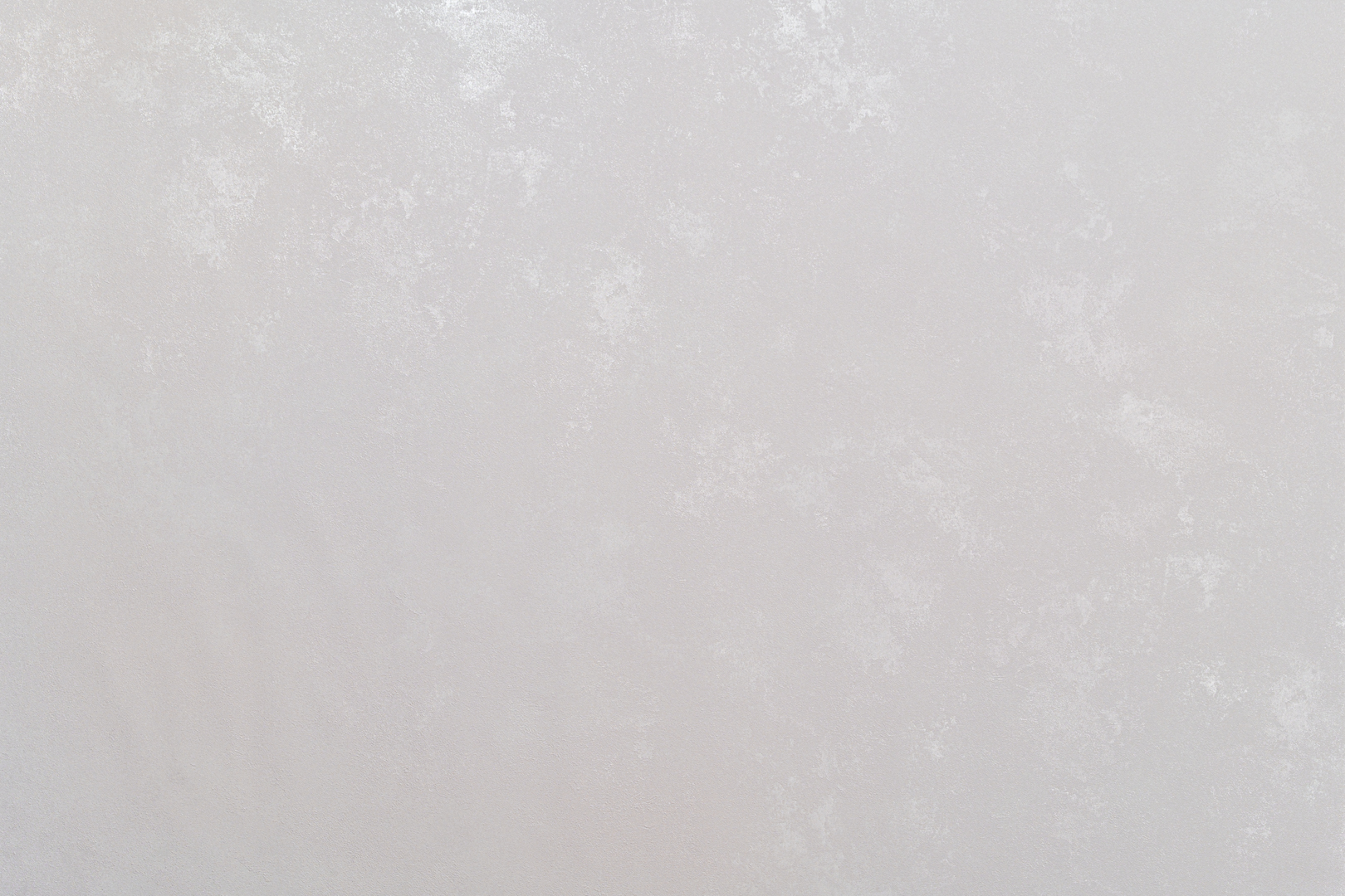 Forest AR11199-02
