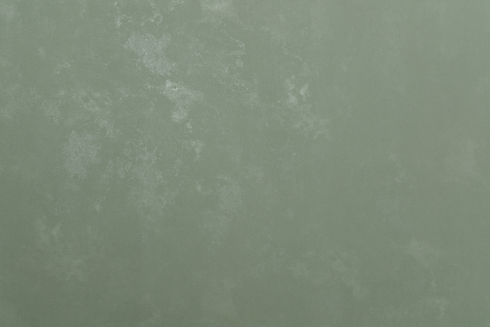 Absolute AR11273-06