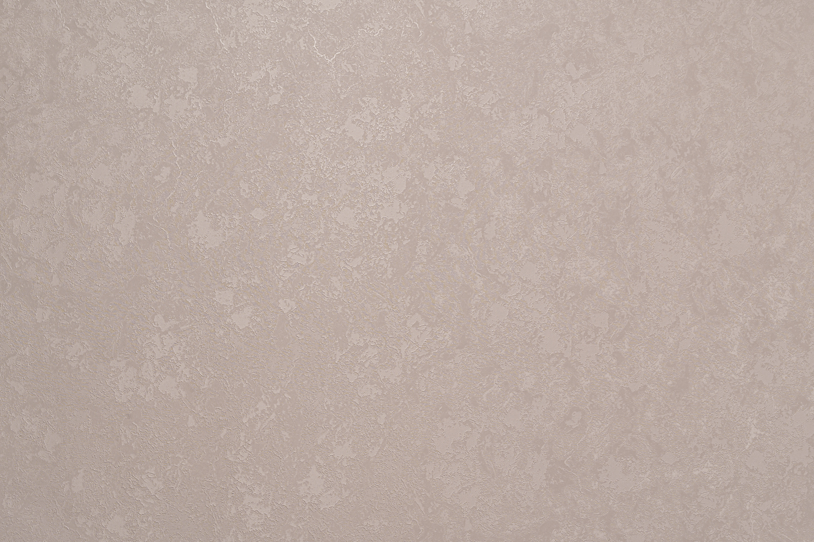 Forest  AR11203-04