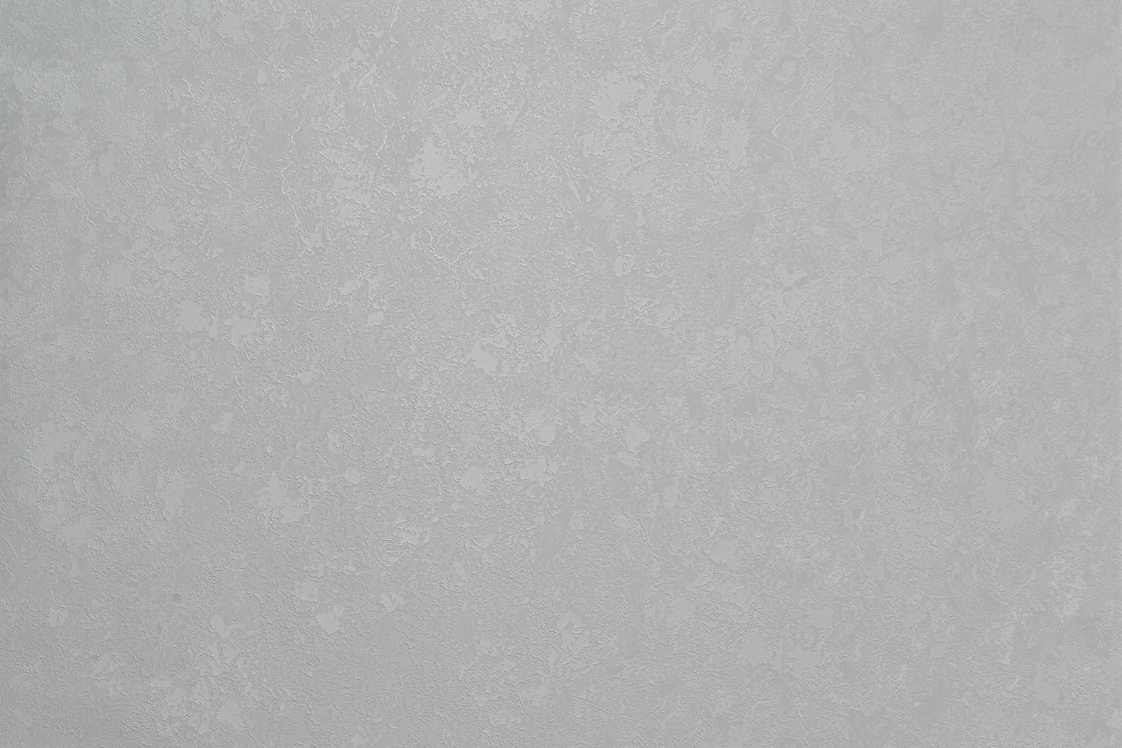 Forest  AR11203-02