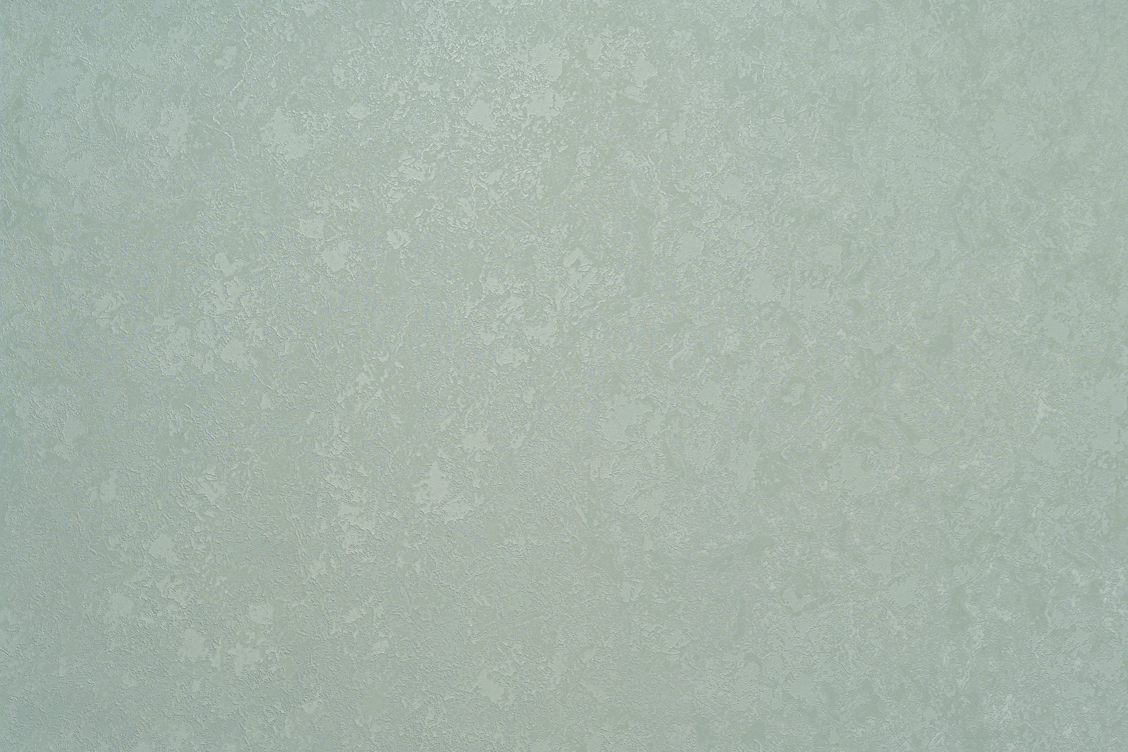 Forest  AR11203-03
