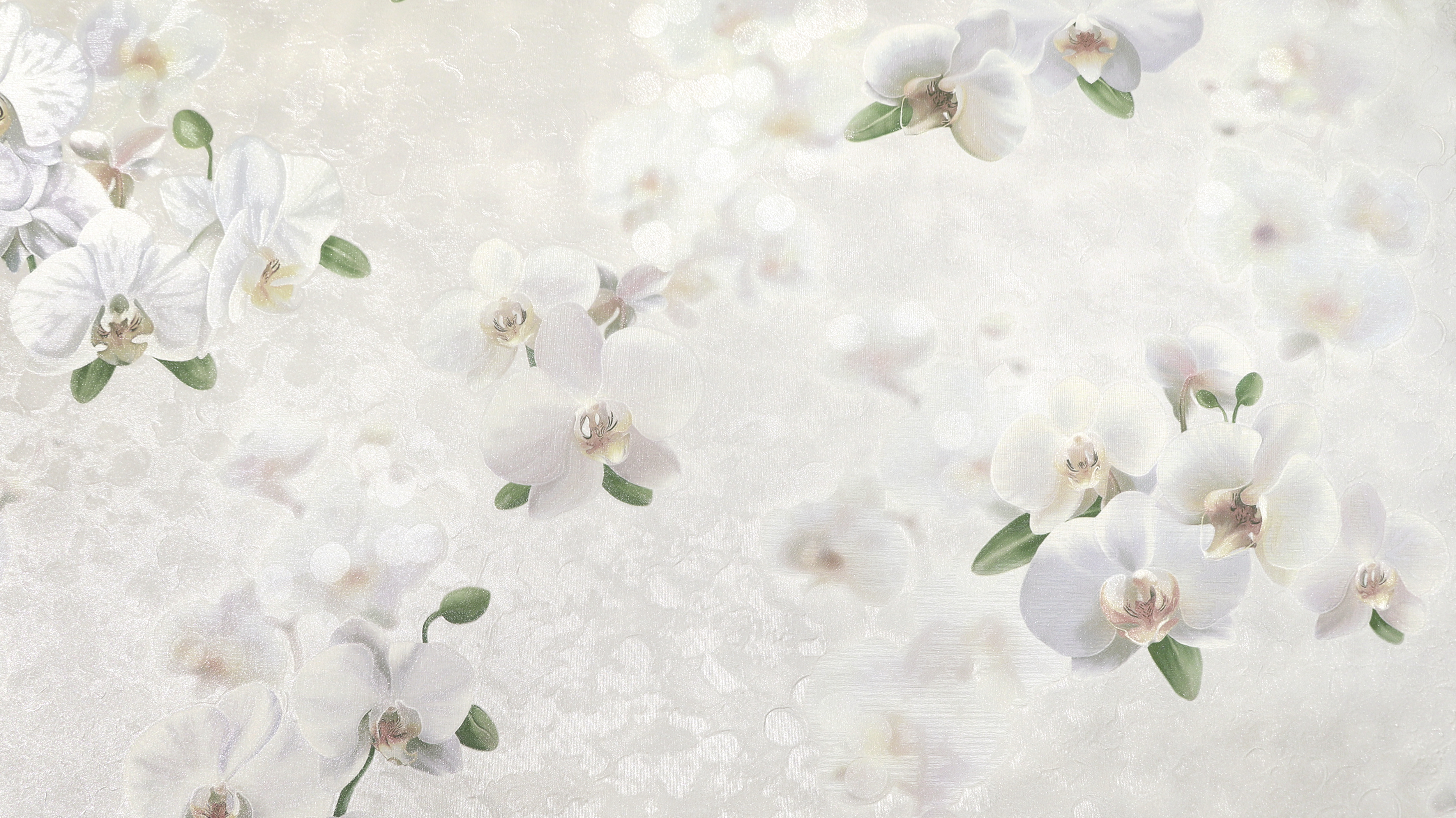 ���� �106702