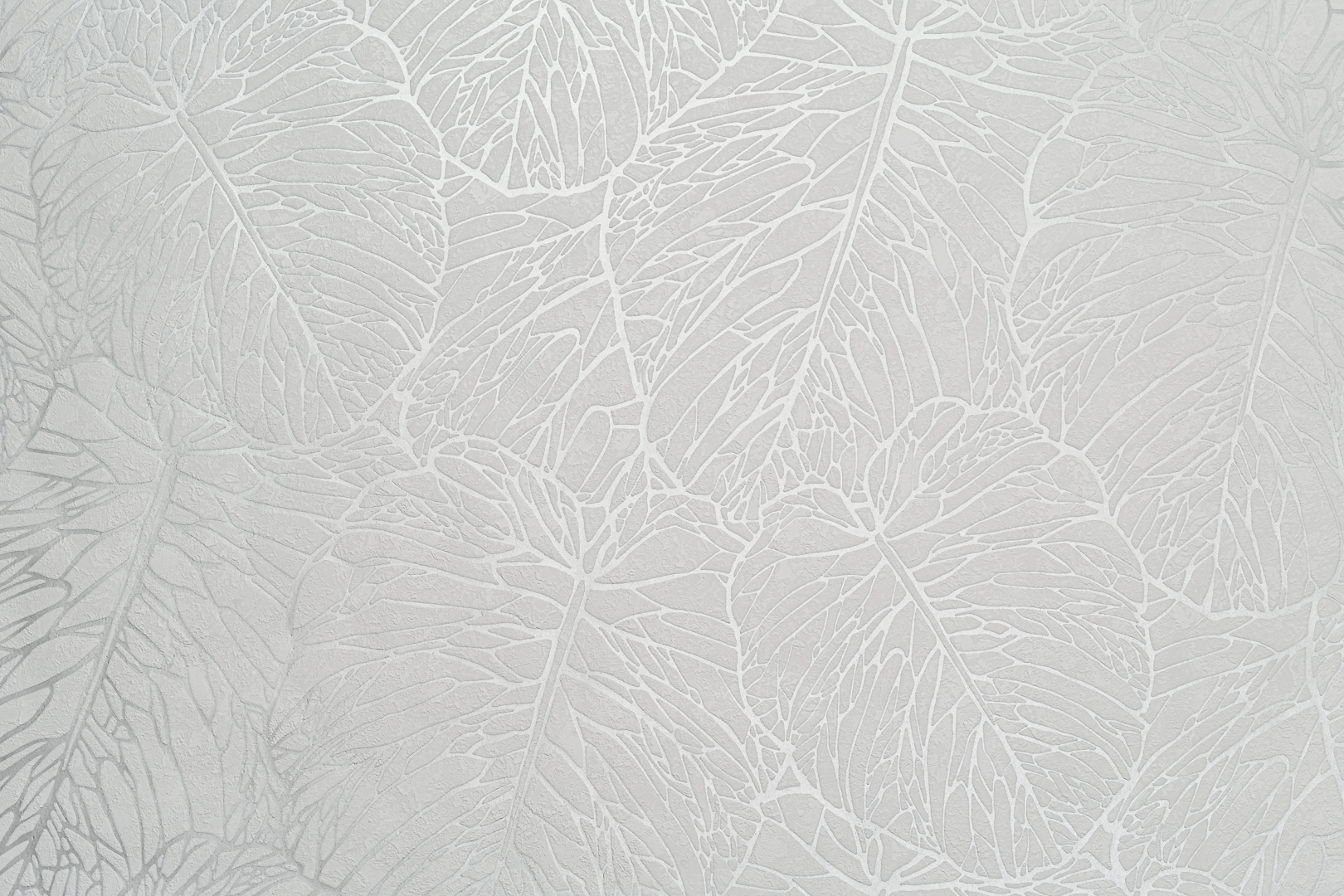 Forest  AR11202-01