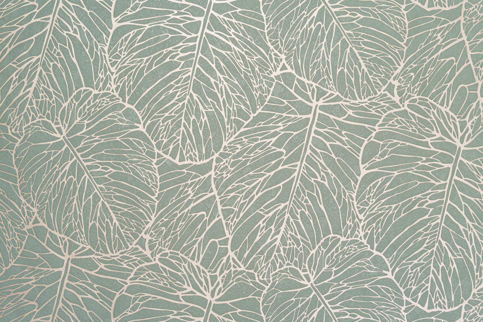 Forest  AR11202-03