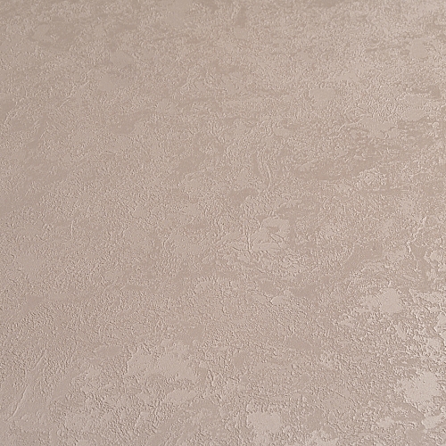  Forest  AR11203-04 5