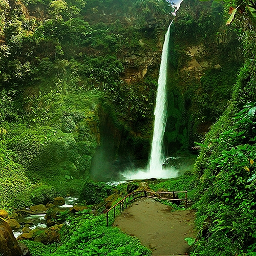 Фотообои Тропический водопад С-018 (2,0х2,7 м)