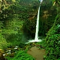 Тропический водопад С-018 (2,0х2,7 м)