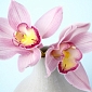 Розовая орхидея  В1-320 (2,0х1,47 м)