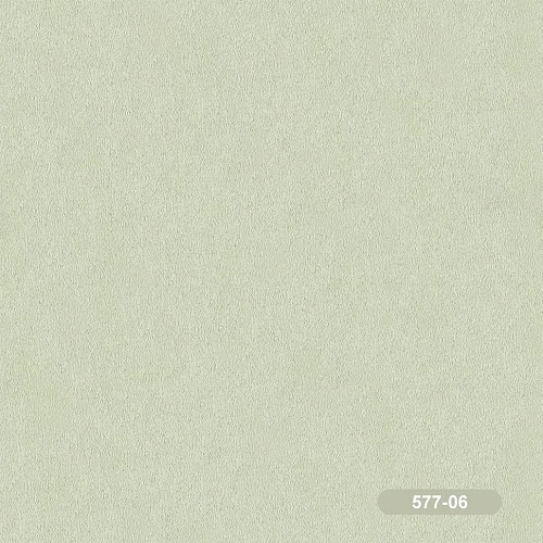 ���� �������� ����� 577-06