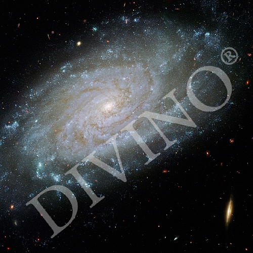 Фотообои Галактика C-123 (3,0х2,7 м)