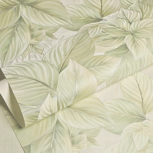   Shifon 316247 WALL UP 4