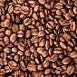 Зерна кофе В1-397 (1,0х2,7 м)