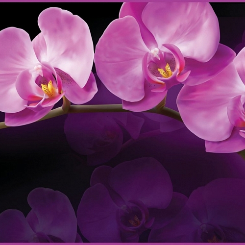 Фотообои Зеркальная орхидея 002 (2,94х1,34 м)