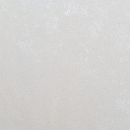   Forest AR11199-01