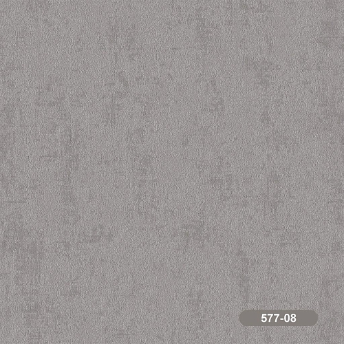���� �������� ����� 577-08