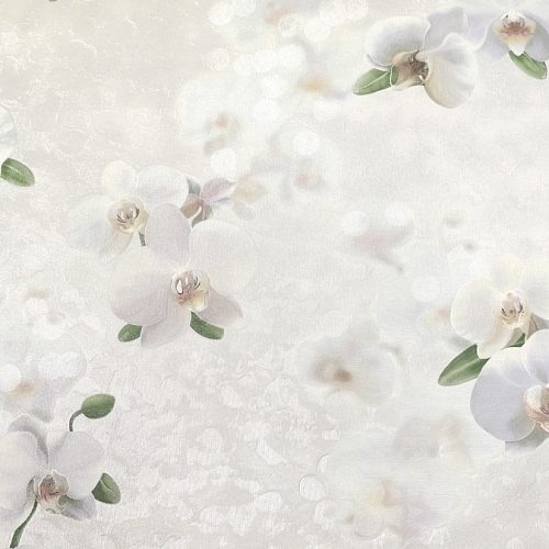 ���� ������������ ���� �106702