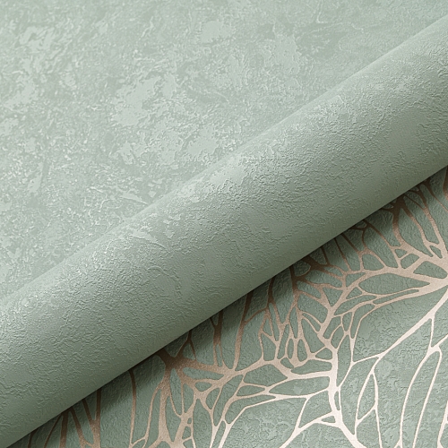   Forest  AR11203-03 7