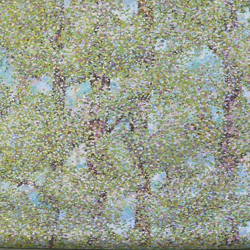 ���� ������������ ������� �800507 5