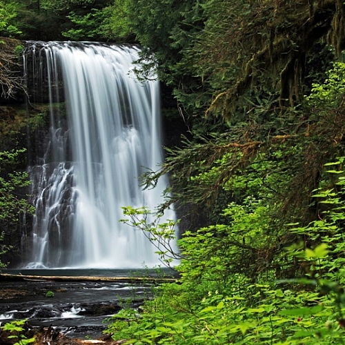 Фотообои Водопад в зелени B1-014 (3,0х2,7 м)