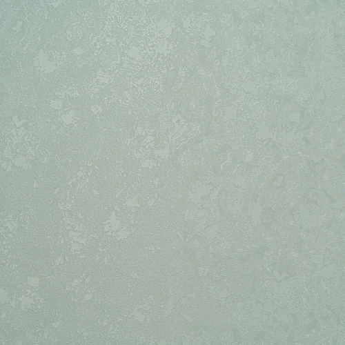   Forest  AR11203-03