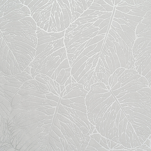   Forest  AR11202-01 2