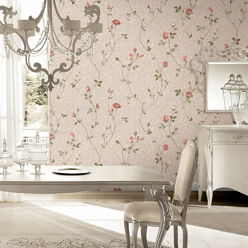   Colomba 80604 2