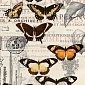 Бабочки Е-044 (2,0х2,7 м)