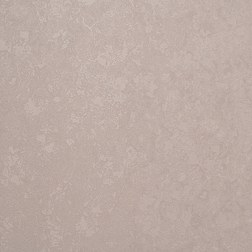   Forest  AR11203-04 2
