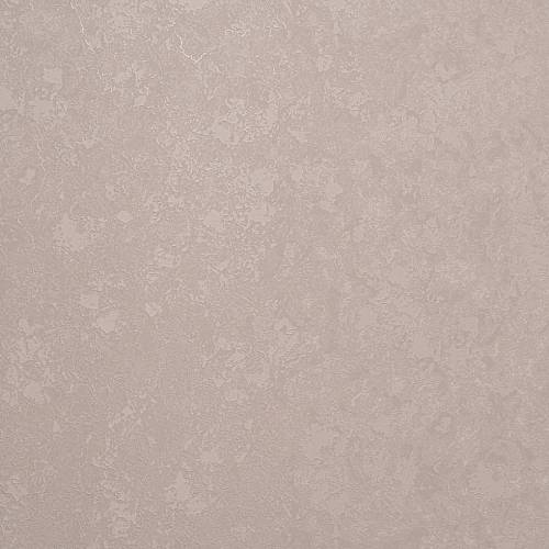   Forest  AR11203-04