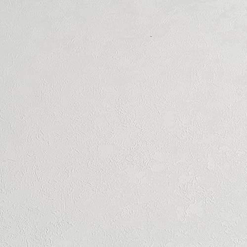   Forest  AR11203-01 5