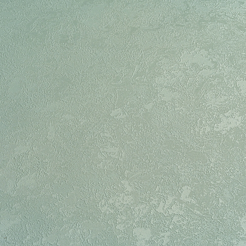   Forest  AR11203-03 6