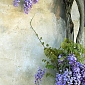 Цветы на стене С1-292 (1,0х2,7 м)