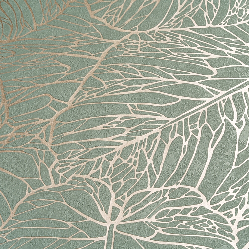   Forest  AR11202-03 5