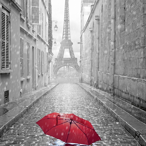 Фотообои Парижский дождь 165 (1,96х2,6 м)