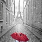 Парижский дождь 165 (1,96х2,6 м)