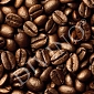 Кофе A-082 (1,0х2,7 м)
