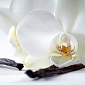 Белая орхидея  В1-321 (2,0х1,47 м)