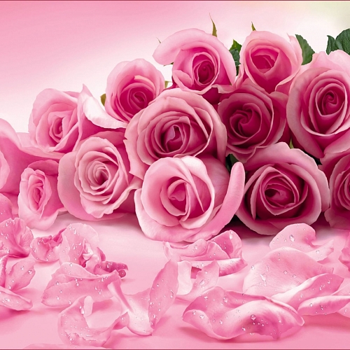 Фотообои Розовые розы 075  (2,68х1,96 м)