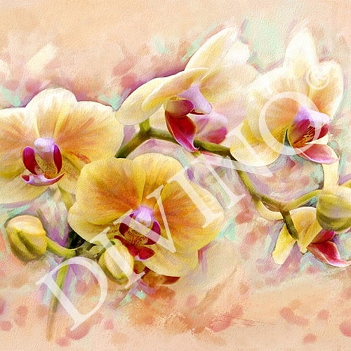 Фотообои Орхидея живопись C-300 (2,0х1,47 м)