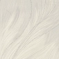 Libertango 9259-00 5