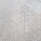 Forest AR11218-02