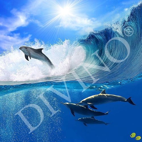 Фотообои Дельфины в волнах B-066 (3,0х2,7 м)