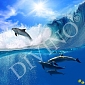 Дельфины в волнах B-066 (3,0х2,7 м)