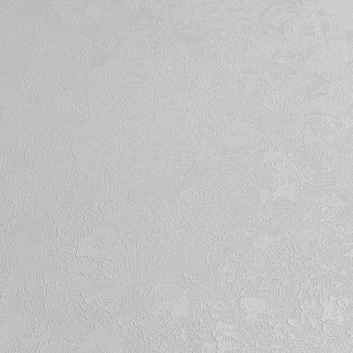   Forest  AR11203-02 5